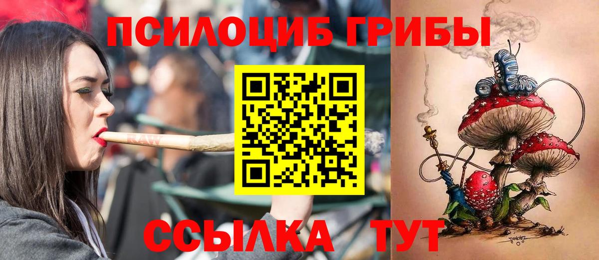 Избербаш  купить   Вход с VPN  Псилоцибиновые грибы мицелий  Псилоцибиновые грибы мицелий 