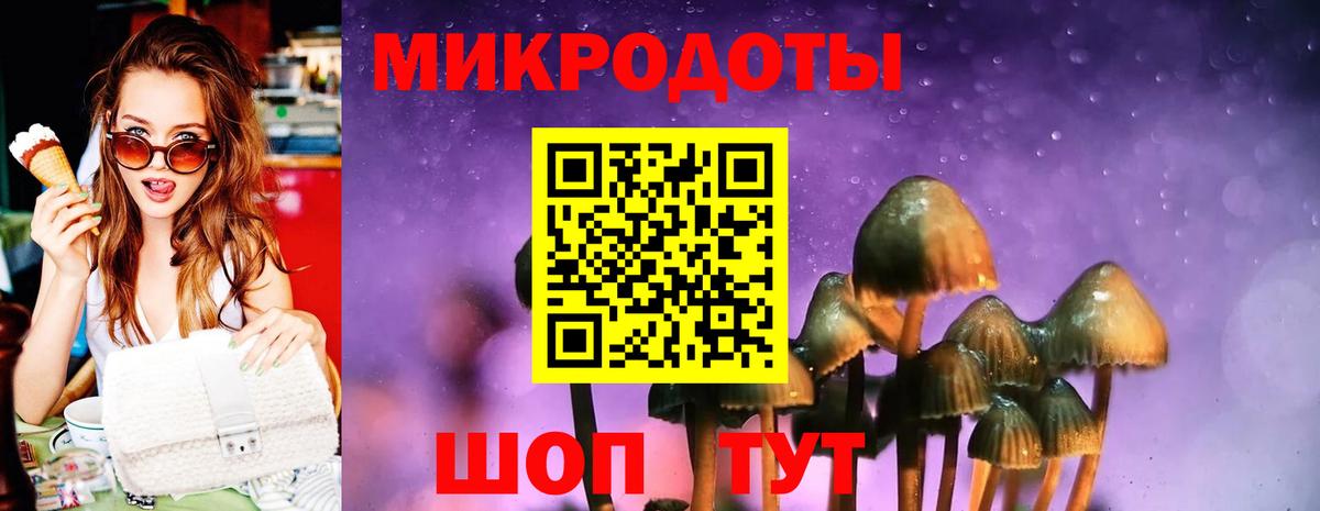Псилоцибиновые грибы мицелий Избербаш